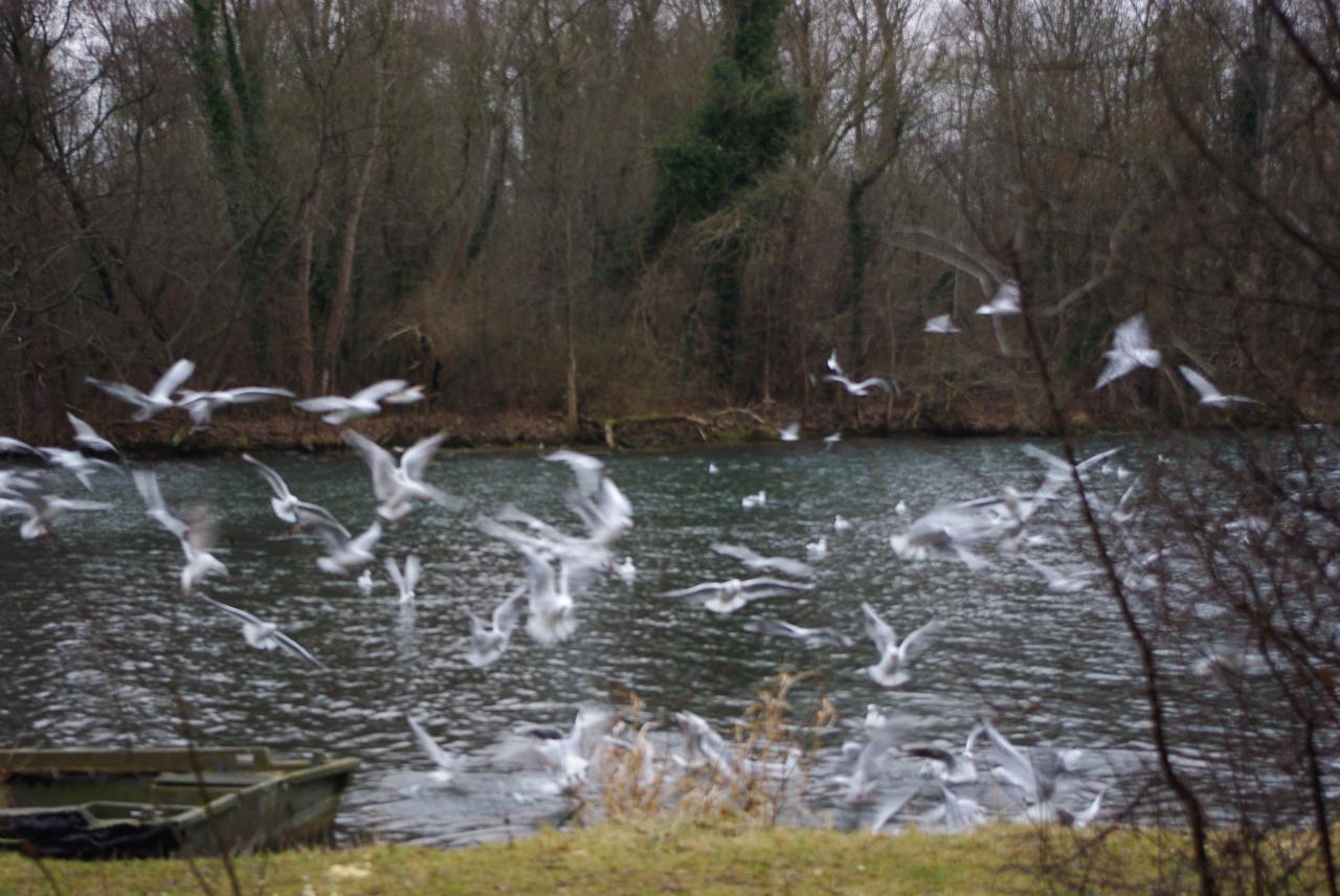 la nature en Alsace