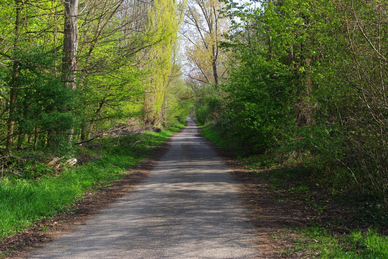 la nature en Alsace