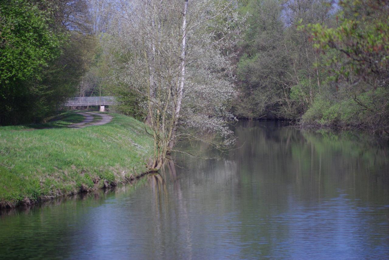 la nature en Alsace