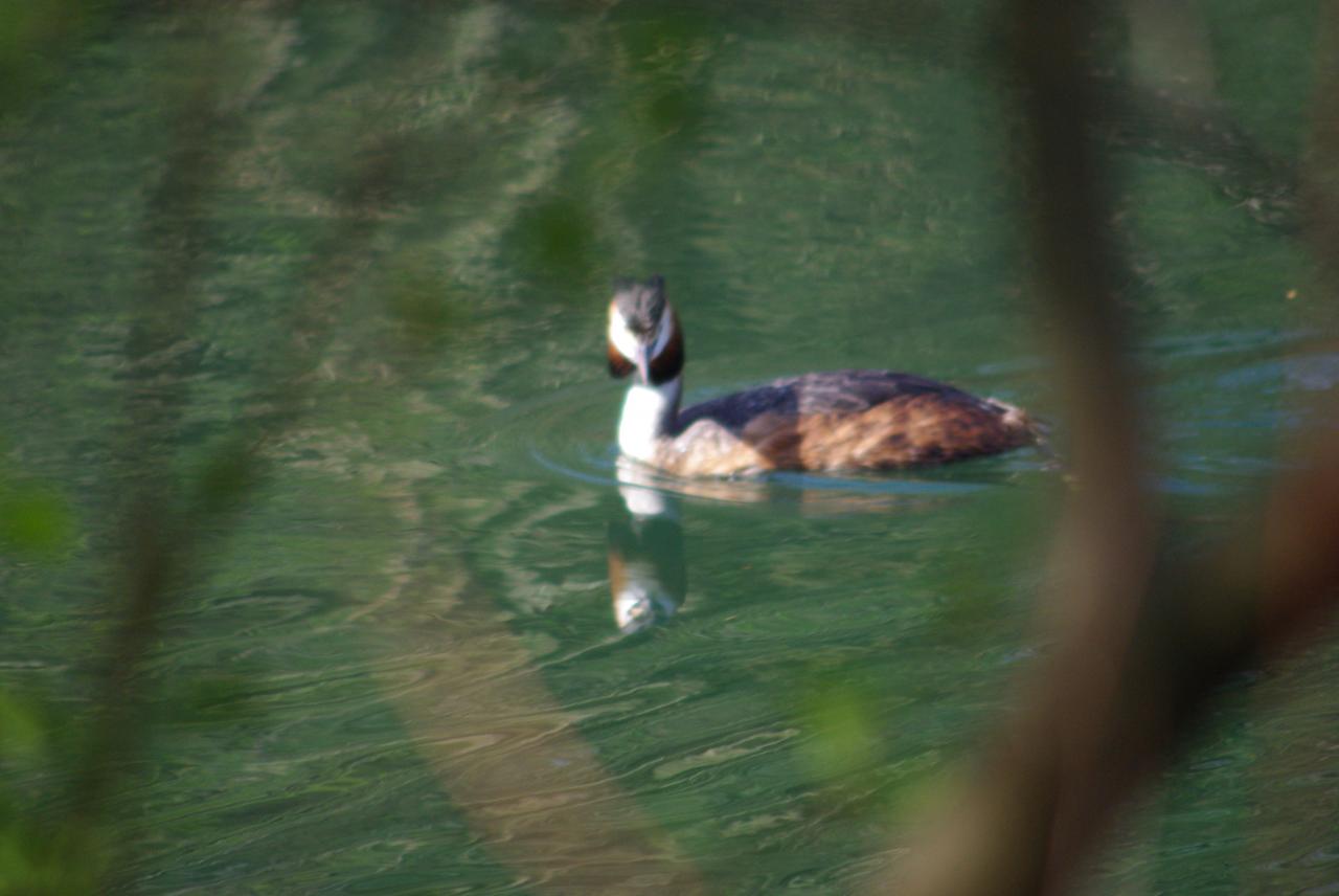 la nature en Alsace