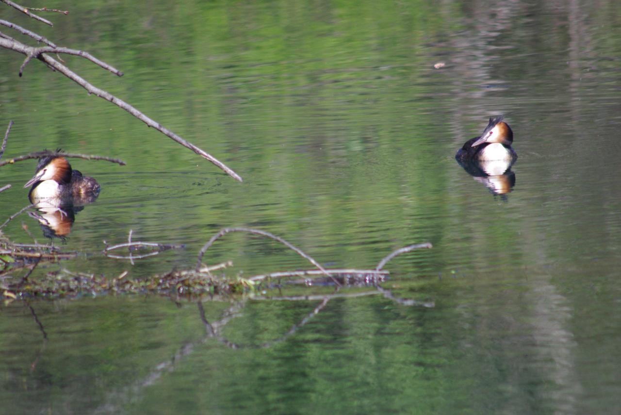 la nature en Alsace