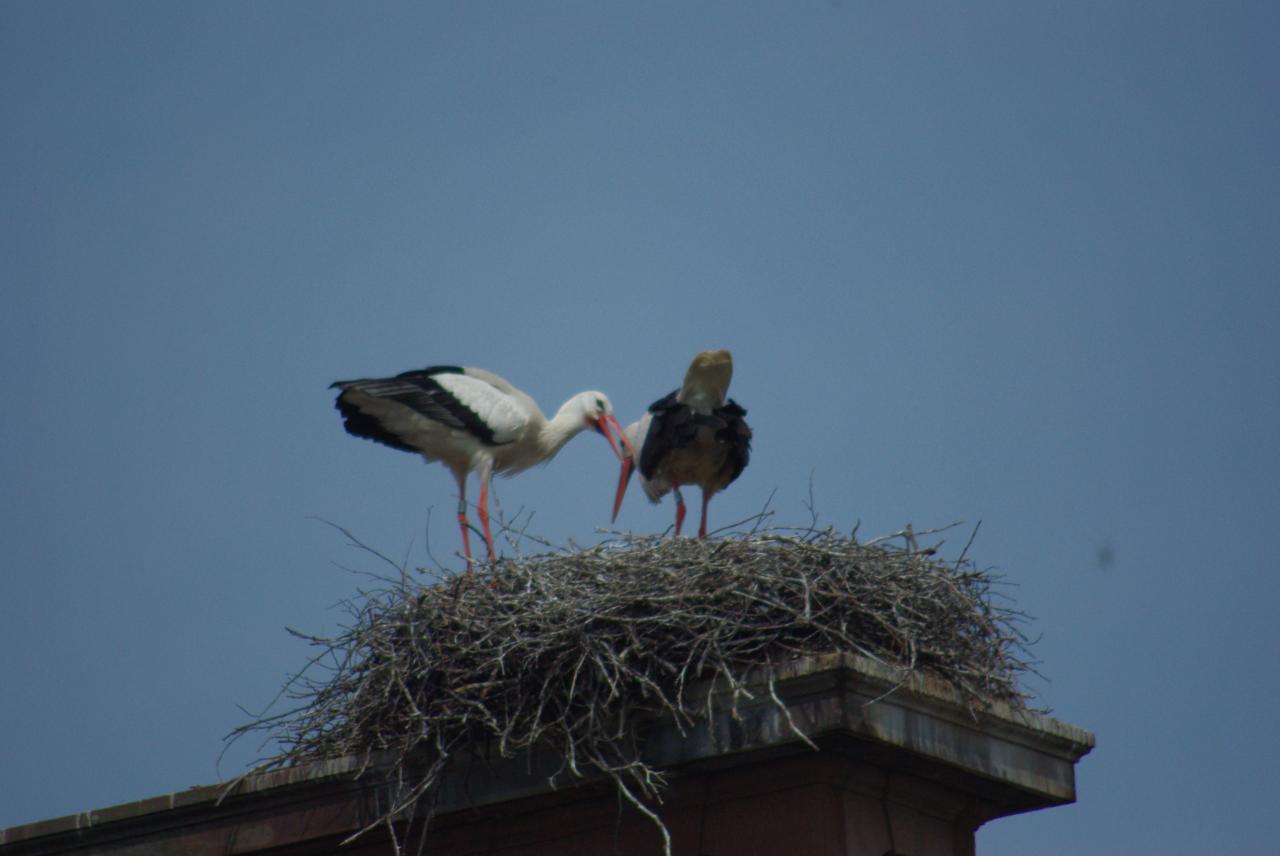 la nature en Alsace