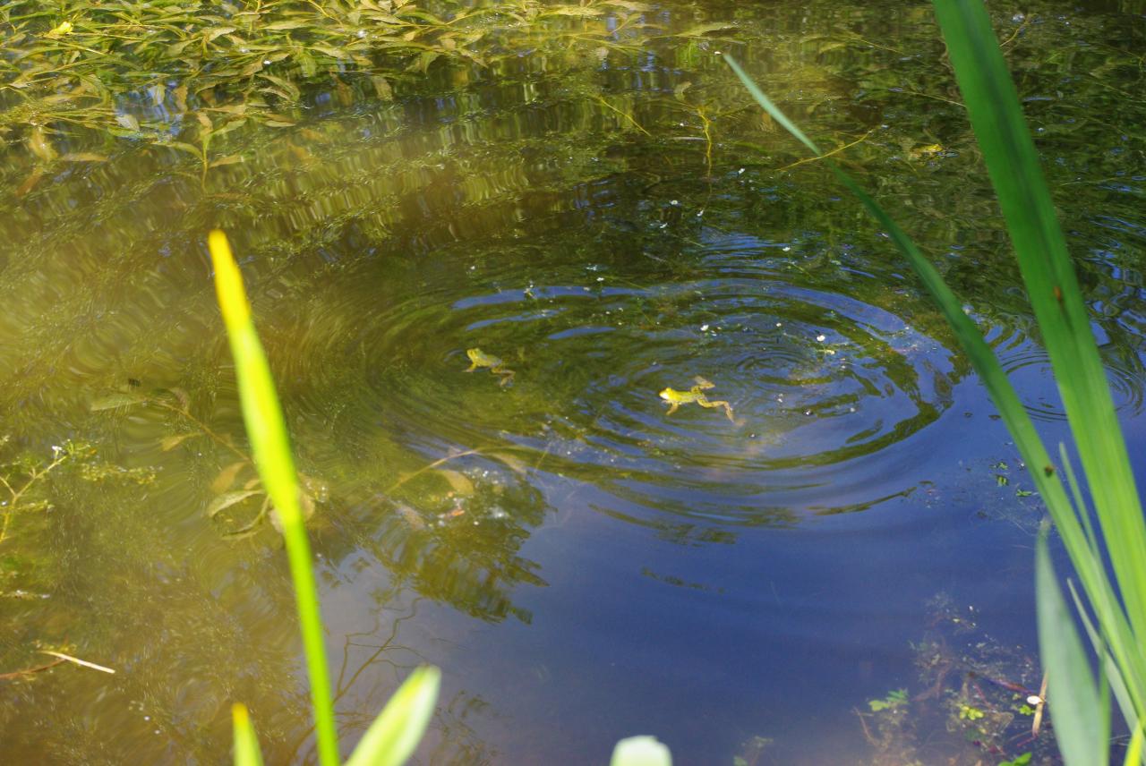 la nature en Alsace